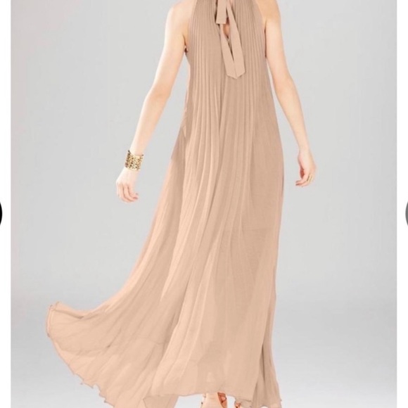 BCBGMaxazaria Maxi Dress pink - Picture 3 of 13